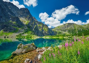 Castorland: Czarny Staw Pod Rysami (500) legpuzzel