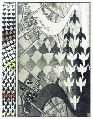 Escher - Day and Night (1000)