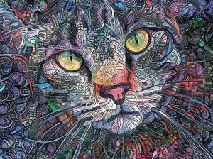 SunsOut: Psychedelic Kitty Cat (1000) kattenpuzzel