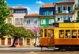 Bluebird: Summer in Porto (1000) SCHADE AAN DOOS OP = OP
