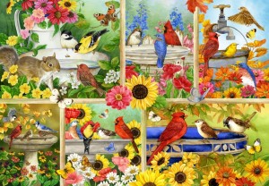 Bluebird: Feathers and Company (1000) vogelpuzzel