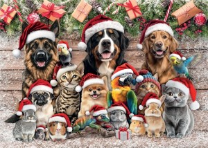 Mr Broccoli: Christmas Hats Pets (1000) kerstpuzzel