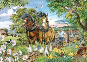 House of Puzzles: Strenght and Beauty (250BIG) legpuzzel