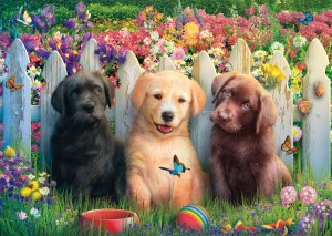 Schmidt: Cute Puppies Scene (1000) hondenpuzzel