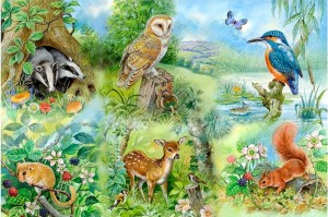 House of Puzzles: Nature Study (250BIG) legpuzzel