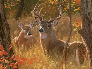 Cobble Hill: Secret Rendezvous (275XXL) Easy Handling