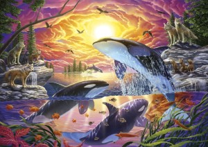 Educa: Orcas and Wolves (4000) legpuzzel