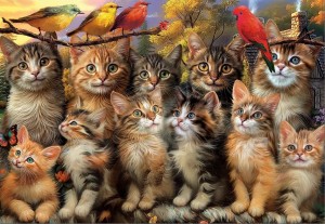 Educa: Kittens and Birds (500) kattenpuzzel