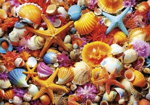 Educa: Shell Collage (1000) legpuzzel