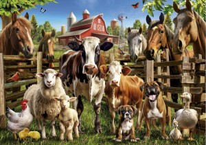 Educa: Farmyard Buddies (500) legpuzzel