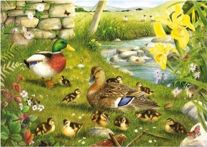 House of Puzzles: Ducks to Water (500BIG) legpuzzel