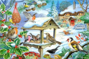 House of Puzzles: Feed the Birds (250BIG) vogelpuzzel
