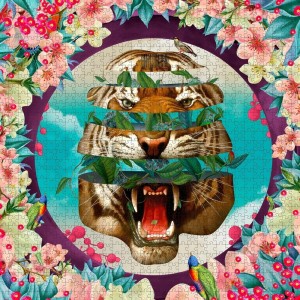 Pomegranate: Vision Quest (1000) vierkante puzzel