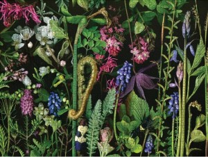 Pomegranate: Chaos (500) legpuzzel