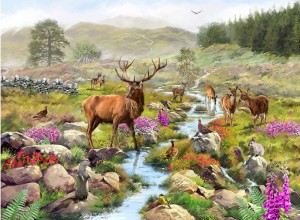 House of Puzzles: Highland Majesty (1000) legpuzzel