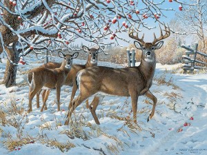 Cobble Hill: Winter Deer (500XL) winterpuzzel
