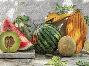 Galison: Melons from the Vine (1000) legpuzzel