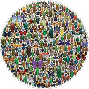 Pomegranate: Macrocosm (500) ronde puzzel