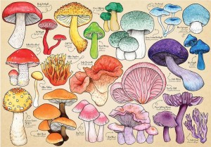 House of Puzzles: Mushroom Mania (150) minipuzzel in koker
