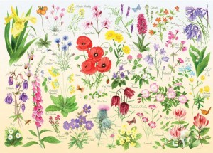 House of Puzzles: Wildflowers (150) minipuzzel in koker