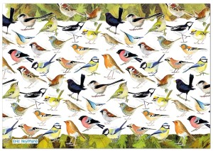 Emma Ball: British Birds (1000) vogelpuzzel