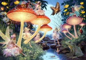 Grafika: Toadstool Brook (1000) legpuzzel