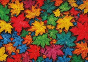 Art Puzzle: Colorful Leaves (1000) herfstpuzzel