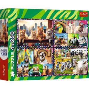 Trefl: Funny Animals (4x250) kinderpuzzel