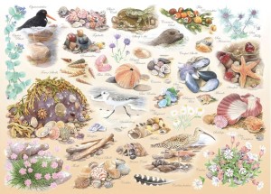 House of Puzzles: Sea Shore (500BIG) legpuzzel