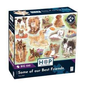 House of Puzzles: Some of our Best Friends (250BIG) legpuzzel