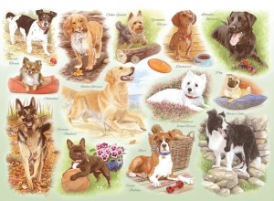 House of Puzzles: Some of our Best Friends (250BIG) legpuzzel