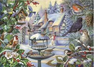 House of Puzzles: Winter Birds (500BIG) vogelpuzzel