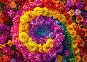 Enjoy: Flower Vortex (1000) bloemenpuzzel