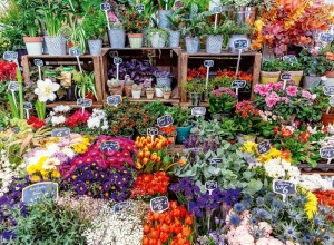 Ravensburger: Flower Market France (500) legpuzzel