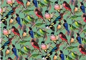 House of Puzzles: Brilliant Birds (1000) vogelpuzzel