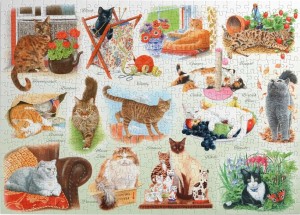 House of Puzzles: A Clowder of Cats (500BIG) kattenpuzzel