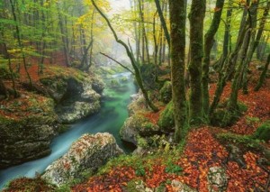 Heye: Magic Forests - Little Brook (1000) legpuzzel