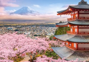 Castorland: Spring in Japan (500) legpuzzel