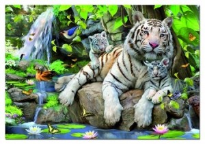 Educa: White Tigers of Bengal (1000)
