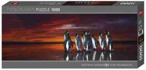 Heye: Alexander von Humboldt - King Penguins (1000) panorama