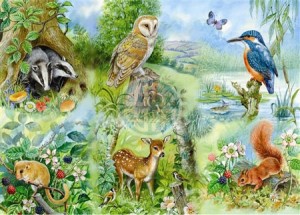 House of Puzzles: Nature Study (250XL) legpuzzel