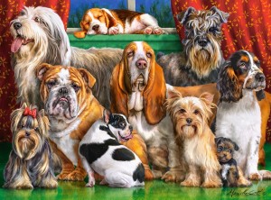 Castorland: Dog Club (3000) hondenpuzzel