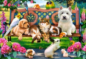 Castorland: Pets in the Park (1000) legpuzzel