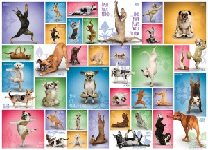 Eurographic: Yoga Dogs (1000) hondenpuzzel