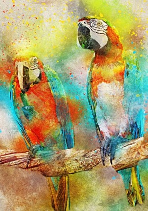 Bluebird: Parrots (1000) verticale puzzel