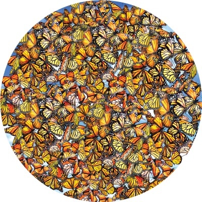 salaris Extreme armoede Roeispaan SunsOut: Monarch Frenzy (1000) ronde puzzel - Goedkopelegpuzzels.nl, legpuzzels voor volwassenen en kinderpuzzels salaris Extreme armoede Roeispaan SunsOut: Monarch Frenzy (1000) ronde puzzel - Goedkopelegpuzzels.nl, legpuzzels voor volwassenen en kinderpuzzels