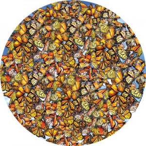 SunsOut: Monarch Frenzy (1000) ronde puzzel