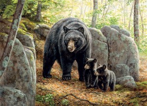 Cobble Hill: Mama Bear (1000) legpuzzel