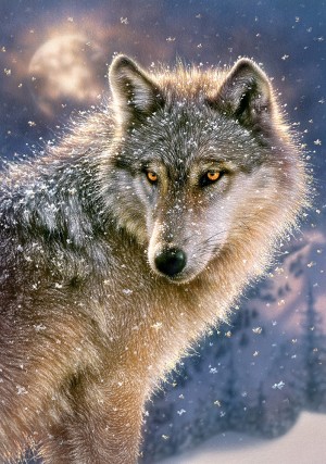 Castorland: Lone Wolf (500) wolvenpuzzel