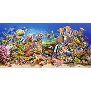 Castorland: Underwater Life (4000) panorama puzzel